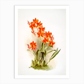 Orange Orchids Vintage 19th Century Plants Painting Art Print