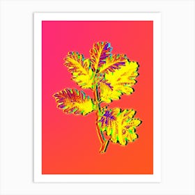 Neon Hungarian Oak Botanical in Hot Pink and Electric Blue n.0313 Art Print