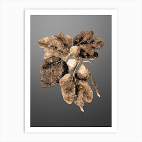 Gold Botanical Common Fig on Soft Gray Art Print