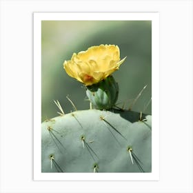 Cactus Flower 1 Art Print