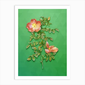 Vintage Red Sweetbriar Rose Botanical Art on Classic Green n.1296 Art Print