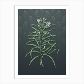 Vintage Narrow Leaf Spider Flower Botanical on Slate Gray Pattern n.0708 Art Print