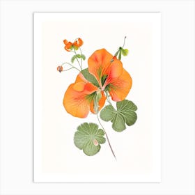 Nasturtium Floral Quentin Blake Inspired Illustration 1 Flower Art Print