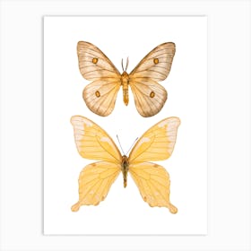 Two Light Yellow Butterflies Art Print