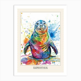 Elephant Seal Colourful Watercolour 3 Poster Art Print