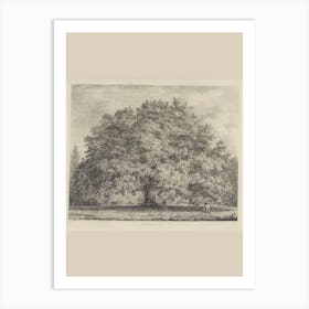 Large Oak Tree Art Print