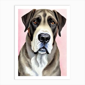 Cane Corso Watercolour Dog Art Print