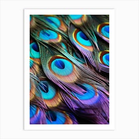 Peacock Feathers 6 Art Print