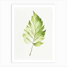 Elm Leaf Minimalist Watercolour 1 Art Print