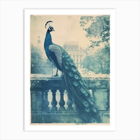 Vintage Turquoise Peacock With A Palace In The Background 1 Art Print