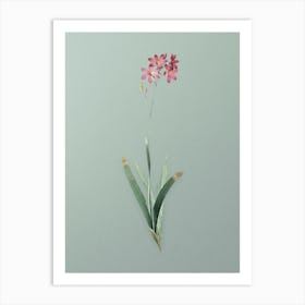 Vintage Corn Lily Botanical Art on Mint Green n.0307 Art Print