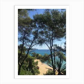 Beach View From The Trees | Seascape photography Art Print Art Print