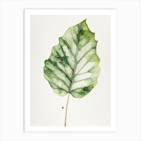 Fig Leaf Minimalist Watercolour 1 Art Print