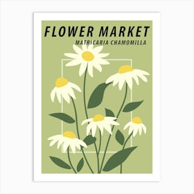 Flower market Chamomile Daisy, Green floral art print Art Print