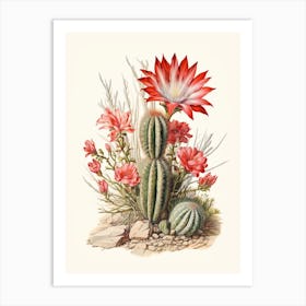 Vintage Cactus Illustration Zebra Cactus 2 Art Print