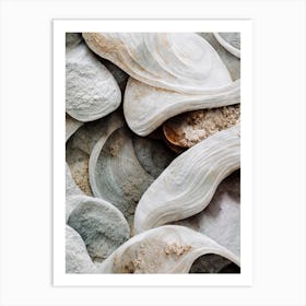 Sea Shell Detail No 4 Art Print