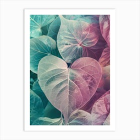 Heart Shaped Leaves 1 Art Print