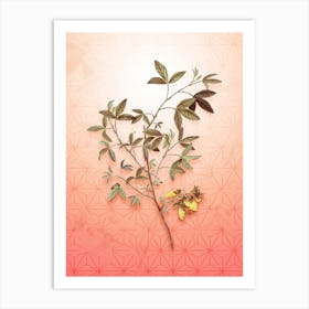 Stinking Bean Trefoil Vintage Botanical in Peach Fuzz Asanoha Star Pattern n.0215 Art Print