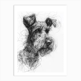 Kerry Blue Terrier Dog Charcoal Line Art Print