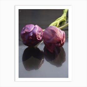 purple tulips reflection Art Print