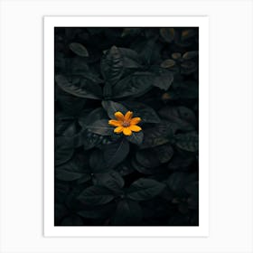 Single Yellow Flower 47 Art Print