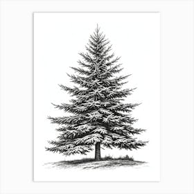 Fir Tree Pencil Sketch Ultra Detailed 2 Art Print