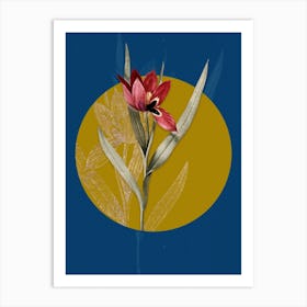 Vintage Botanical Tulipa Oculus Colis on Circle Yellow on Blue Art Print