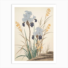 Ayame Japanese Iris 3 Vintage Botanical Woodblock Art Print