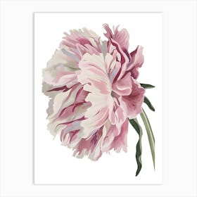 Pink Peony 1 Art Print