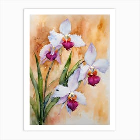 Brassavola Orchids Water Colour Art Print