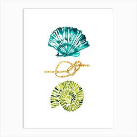 Watercolor Sea Shells Poster