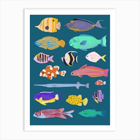 Rainbow fish variety Art Print