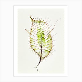 Venus Flytrap Leaf Minimalist Watercolour 2 Art Print