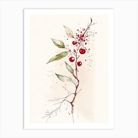 Wild Cherry Bark Herb Minimalist Watercolour 1 Art Print