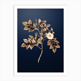 Gold Botanical Mountain Rose Bloom on Midnight Navy n.0909 Art Print