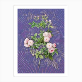 Vintage Pink Baby Roses Botanical Illustration on Veri Peri n.0316 Art Print