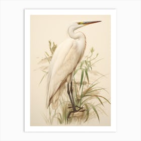 Vintage Bird Drawing Egret 1 Art Print