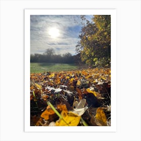 Autumn Leaves On The Ground 1 Art Print