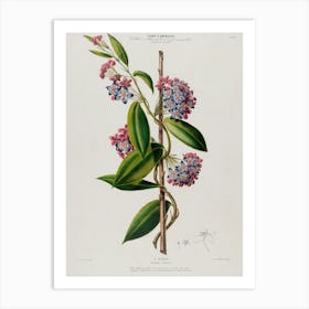 Lily Of The Valley 14 Art Print