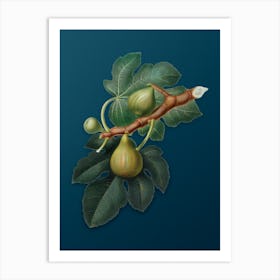 Vintage Fig Botanical Art on Teal Blue n.0700 Art Print