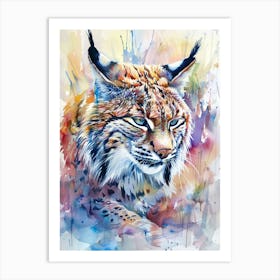 Bobcat Colourful Watercolour 4 Art Print