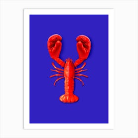 Lobster Fighting Art Print