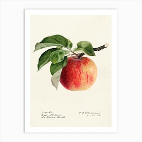 Apple Print Art Print