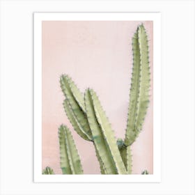 Pink Cactus Art Print