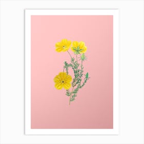 Vintage Long Stalked Ledocarpum Botanical on Soft Pink n.0868 Art Print