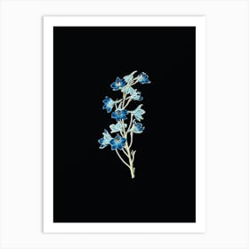 Vintage Shewy Delphinium Flower Botanical Illustration on Solid Black n.0425 Art Print