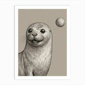 Seal With A Ball Art Print