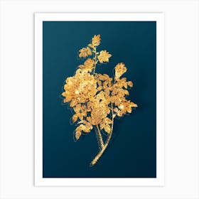 Vintage Ventenat's Rose Botanical in Gold on Teal Blue n.0347 Art Print