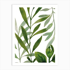 Green Leaves Art Print Art Print