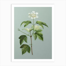 Vintage Guelder Rose Botanical Art on Mint Green n.0460 Art Print